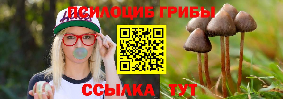 Галлюциногенные грибы Cubensis Артёмовский